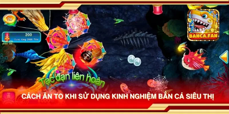 Cách ăn to khi sử dụng kinh nghiệm bắn cá siêu thị