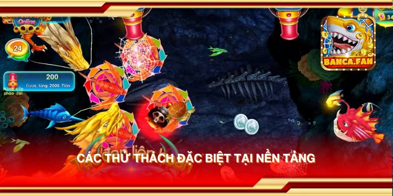 Các thử thách đặc biệt tại nền tảng