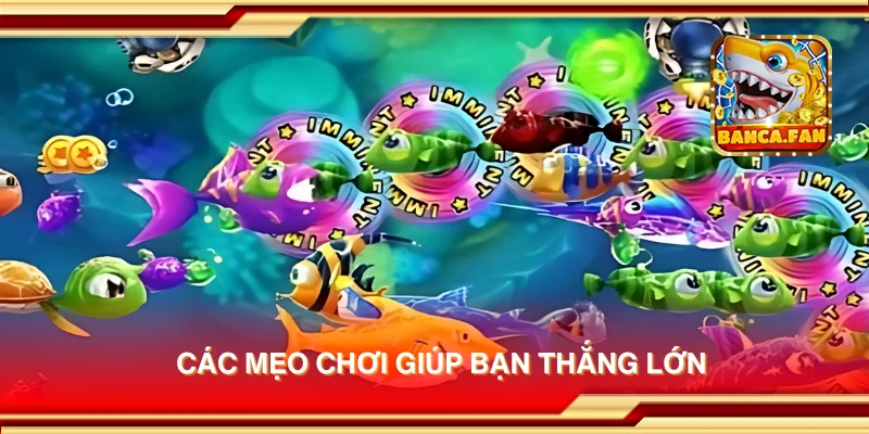 Các mẹo chơi giúp bạn thắng lớn