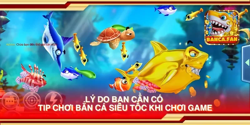 Lý do bạn cần có tip chơi bắn cá siêu tốc khi chơi game